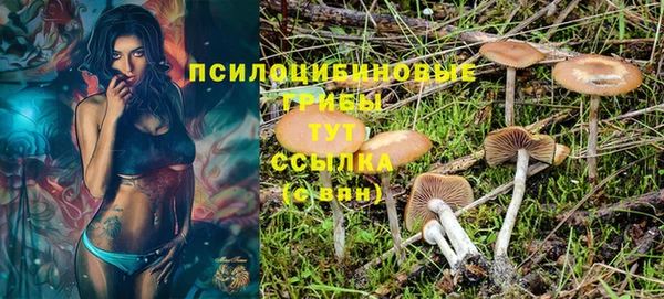 винт Арсеньев