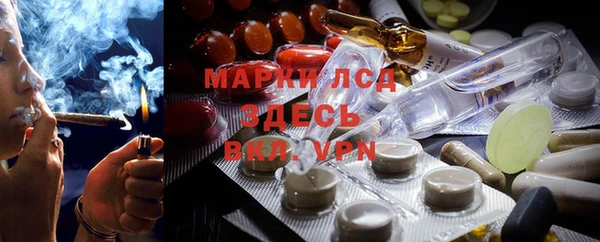 MESCALINE Аркадак