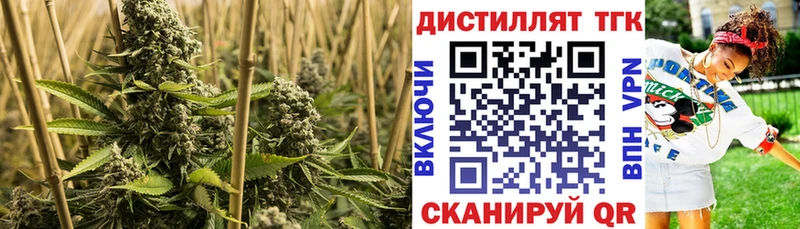 Дистиллят ТГК THC oil Козельск