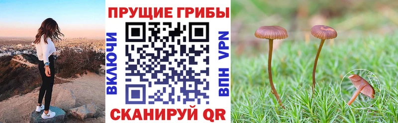Галлюциногенные грибы ЛСД  Козельск 